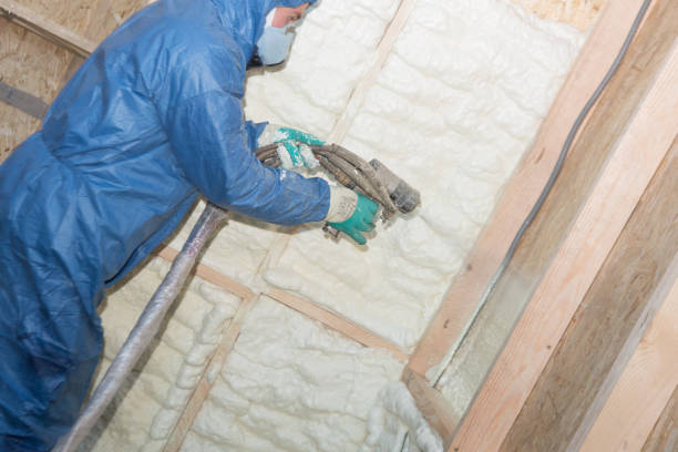 Best Crawl Space Insulation  in Bloomfield, MO