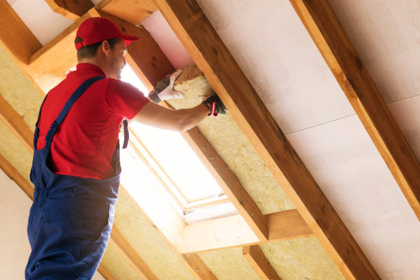 Best Spray Foam Insulation  in Bloomfield, MO